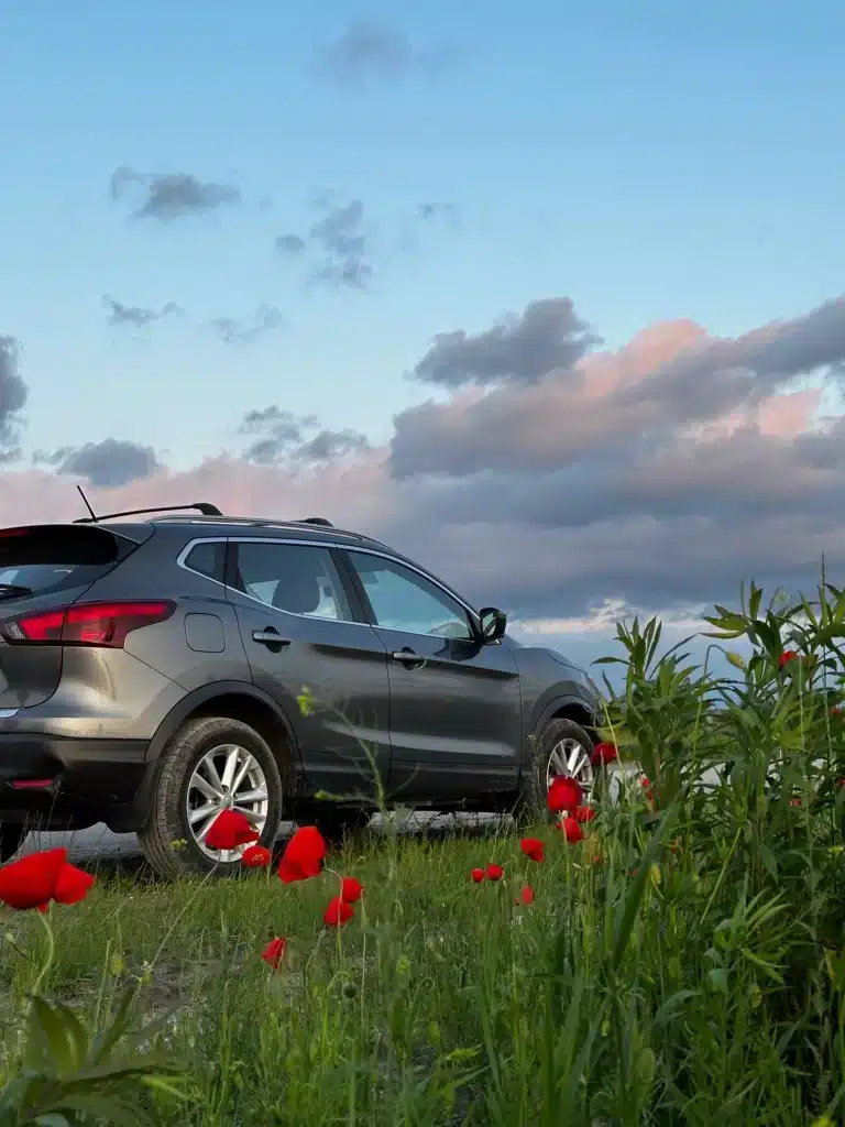 Coquelicots rouges et SUV : échappée belle au crépuscule. SUV gris sur chemin de terre. Coquelicots rouges et herbes au premier plan sous un ciel de crépuscule bleu-rose dramatique.